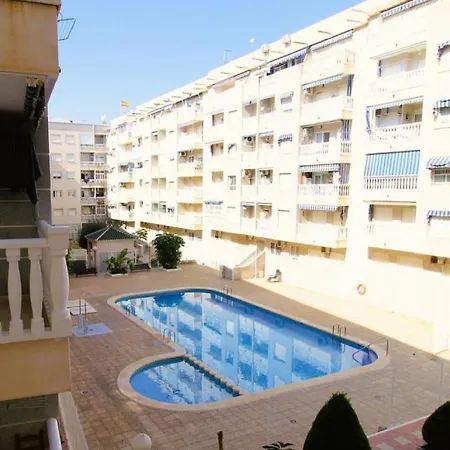 Alegria Id156 * Torrevieja